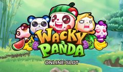 Wacky-Panda-Microgaming