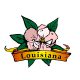 Louisiana-usa-gambling