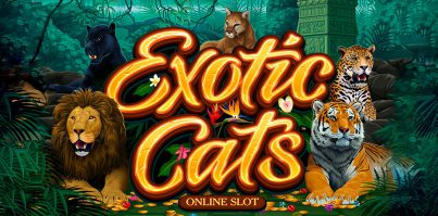 Microgaming-Exotic-Cats