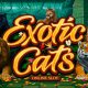 Microgaming-Exotic-Cats