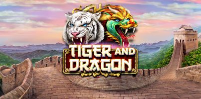 Tiger-and-Dragon-Red-Rake-Gaming