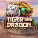 Tiger-and-Dragon-Red-Rake-Gaming